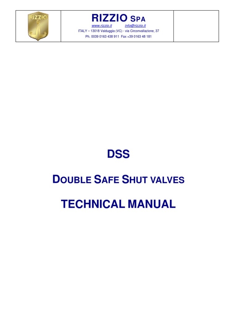 DSS Valve | PDF | Valve | Leak