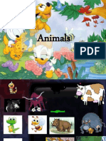 Animals