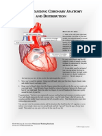 cardiac anatomy chart