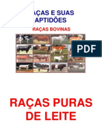 Raças bovinas para produção de leite e carne