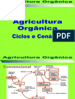 Agricultura Orgânica Ciclos e Cenários