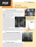 Alcali Reaction