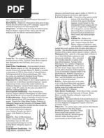 Download 019 Foot and Ankle Classifications by ougeta SN118614820 doc pdf