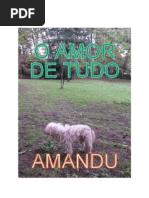 O AMOR DE TUDO