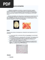 Neisseria Meningitidis PDF