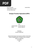 Download Benigna Prostate Hyperplasia BPH by amaliaturrahmah SN118670931 doc pdf