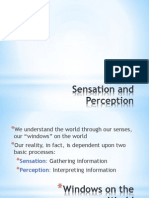 perception and sensation