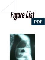Figure List