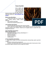 Download Cara Membuat Sale Pisang Yang Baik by PakDhe Ga SN118768245 doc pdf
