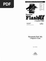 Flash Beginners Guide