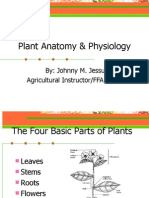 Plant Anatomy