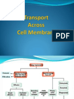 Transport Across Cell Membrane