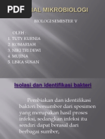 Bakteriologi Dasar Ppt Download For Mac