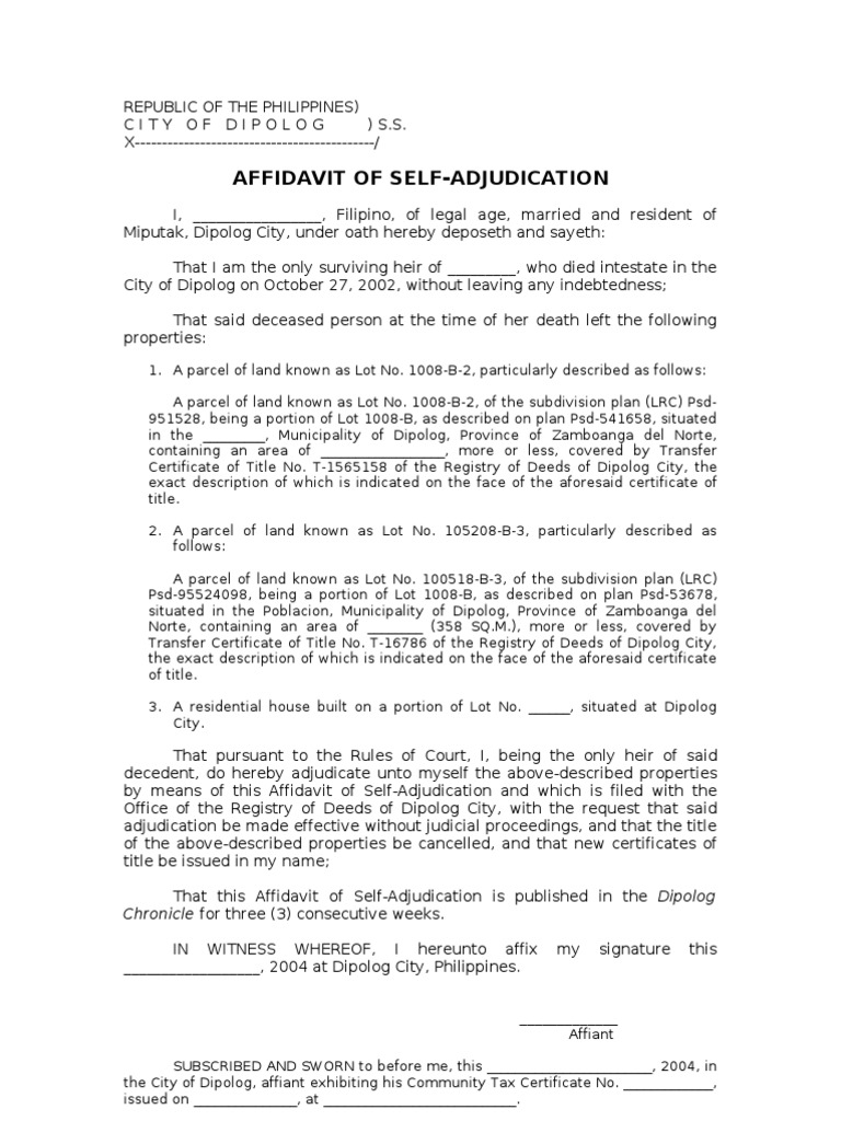 Affidavit of Self AdjudicationSample