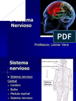 El Sistema Nervioso2