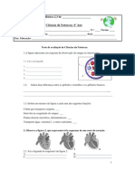 55484284-Ficha-de-avaliacao-sistema-circulatorio-6-º-ano