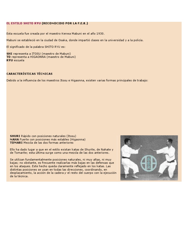 Estilo Shito Ryu: Fundamentos y Técnicas | PDF | Artes marciales ...