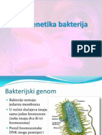 Genetika Bakterija