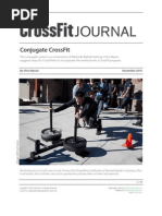 CFJ Mason Conjugate Program