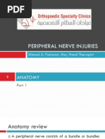 Download PERIPHERAL NERVE INJURIES by Ahmad A Fannoon SN118887684 doc pdf