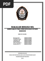 Download Kelainan Sturuktur Dan Fungsi Ribosom by Ken SN118906687 doc pdf