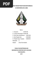 Download Laporan Uji Mikrobiologi Jamu by Hutri_csw SN118912975 doc pdf