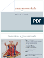Radio anatomie cervicale