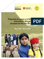 Programa de Apoyo A La Educación Intercultural Bilingüe Escuelas de Alto Bío Bío - Chile 2007