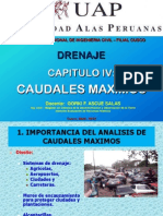 4. CAUDALES MAXIMOS