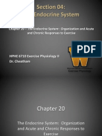 HPHE 6710: Section 04 - Endocrine System (Chapter 20)