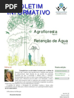Boletim Informativo MPI n.º 27