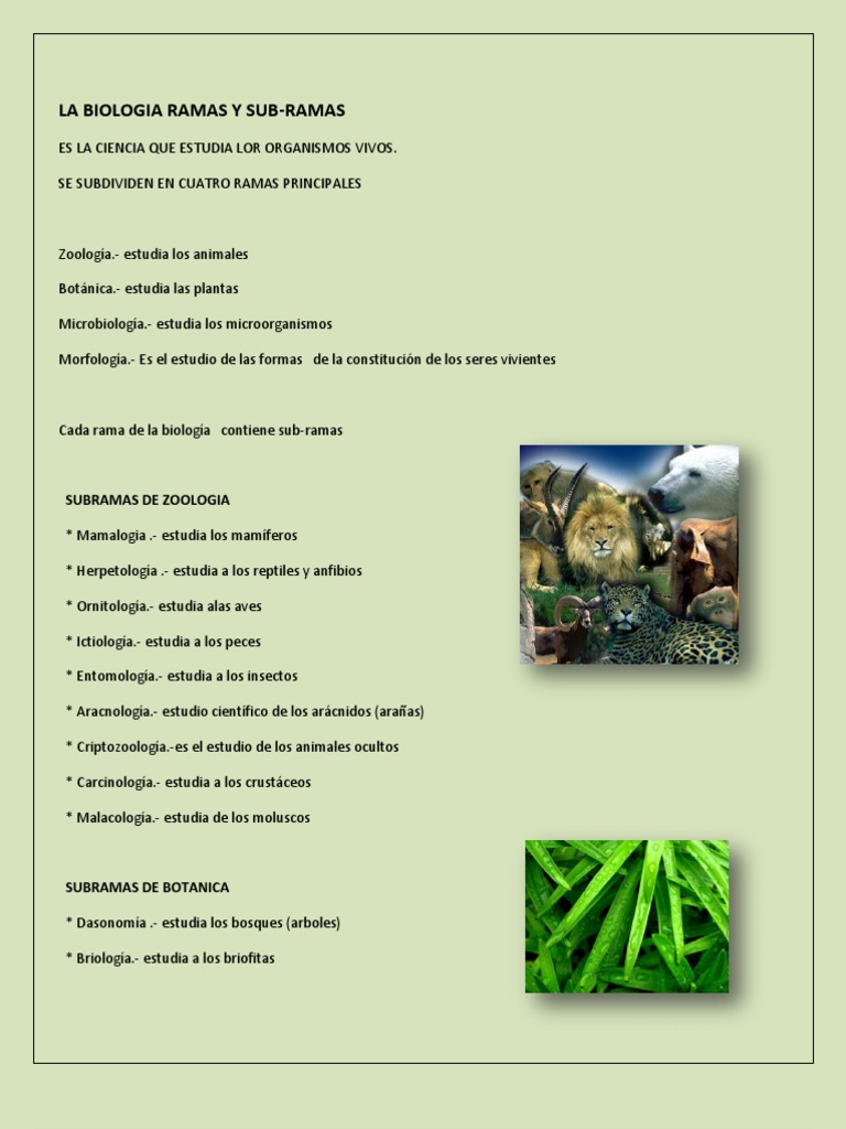 Ramas y Subramas de La Biologia