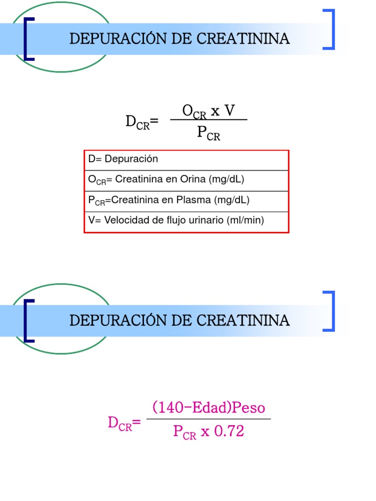 5 DEPURACIÓN DE CREATININA