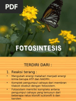 Download FOTOSINTESIS by Dinnar Kusumawati Deden SN11901894 doc pdf