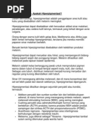 Download Hiperpigmentasi by Liya Agustina SN119029087 doc pdf