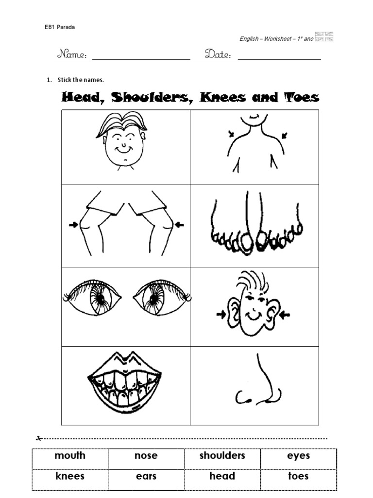 mouth nose shoulders eyes knees ears head toes 1. Stick the names