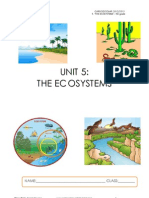 The Ecosystem