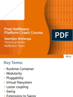 Free Netbeans Platform Crash Course: Geertjan Wielenga