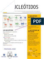 88108548 Ficha Nucleotidos