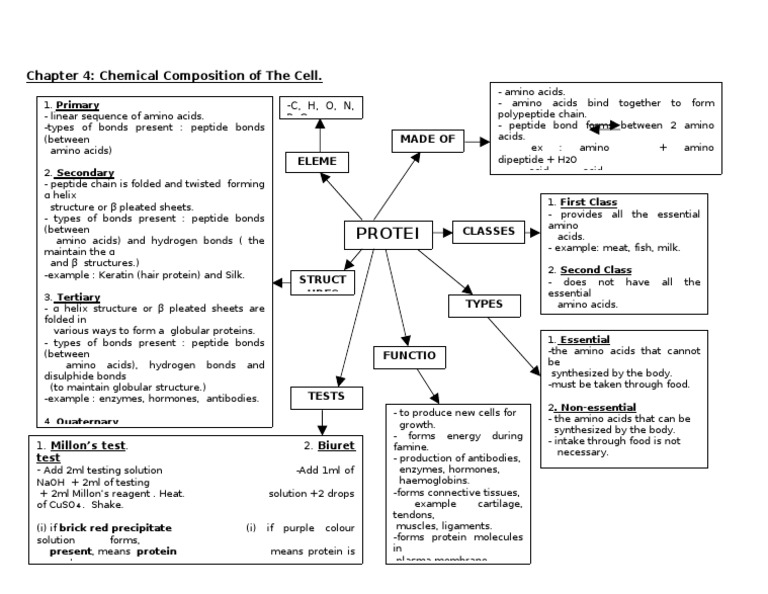 Biology Form 4 Chapter 4 Protein Pdf Proteins Amino Acid