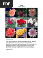 Download cara budidaya tanaman dahlia by Prio Atmawan SN119088357 doc pdf