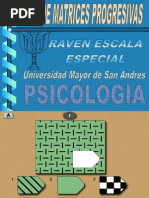 Test Raven escalas de color