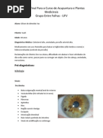 Trabalho Acupuntura e Plantas Medicinais