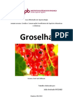 Groselha