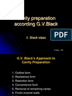 GV Black Principles