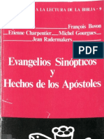 Auneau y Otros - Evangelios Sinopticos y Hechos de Los Apóstoles