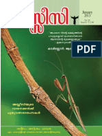 അസ്സീസി ജനുവരി 2013
കവര്‍ സ്റ്റോറി 