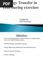 Energy Transfer in Cell During Exercise and Oxygen Metabolism and Transport - Palak