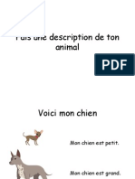 French Y3 Pets