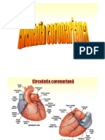 Curs 7 (Circulatie Coronara)